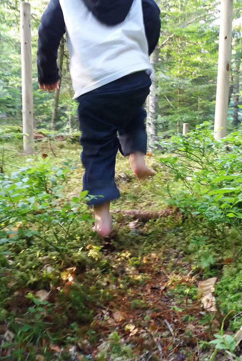 Enfant marchant pieds nus sur un sentier forestier sensoriel.